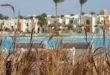 Sunrise-Royal-Makadi-Aegypten