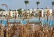 sunrise-royal-makadi