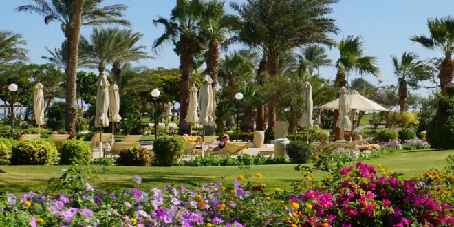 steigenberger al dau hurghada aegypten