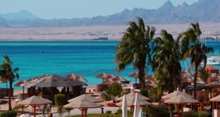 alle reisen & last minute urlaub aegypten