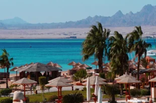 alle reisen & last minute urlaub aegypten