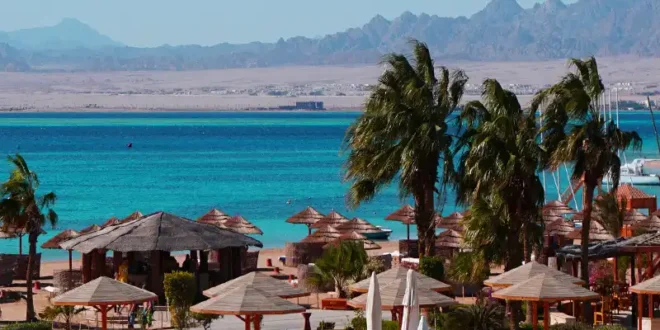 alle reisen & last minute urlaub aegypten