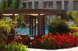 steigenberger-ras-soma