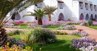 Three Corners Equinox Beach Resort – Marsa Alam