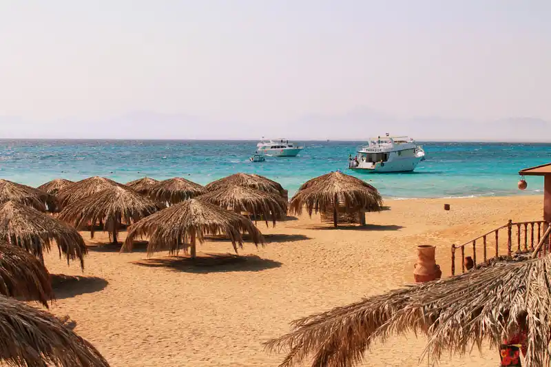 Paradise Island